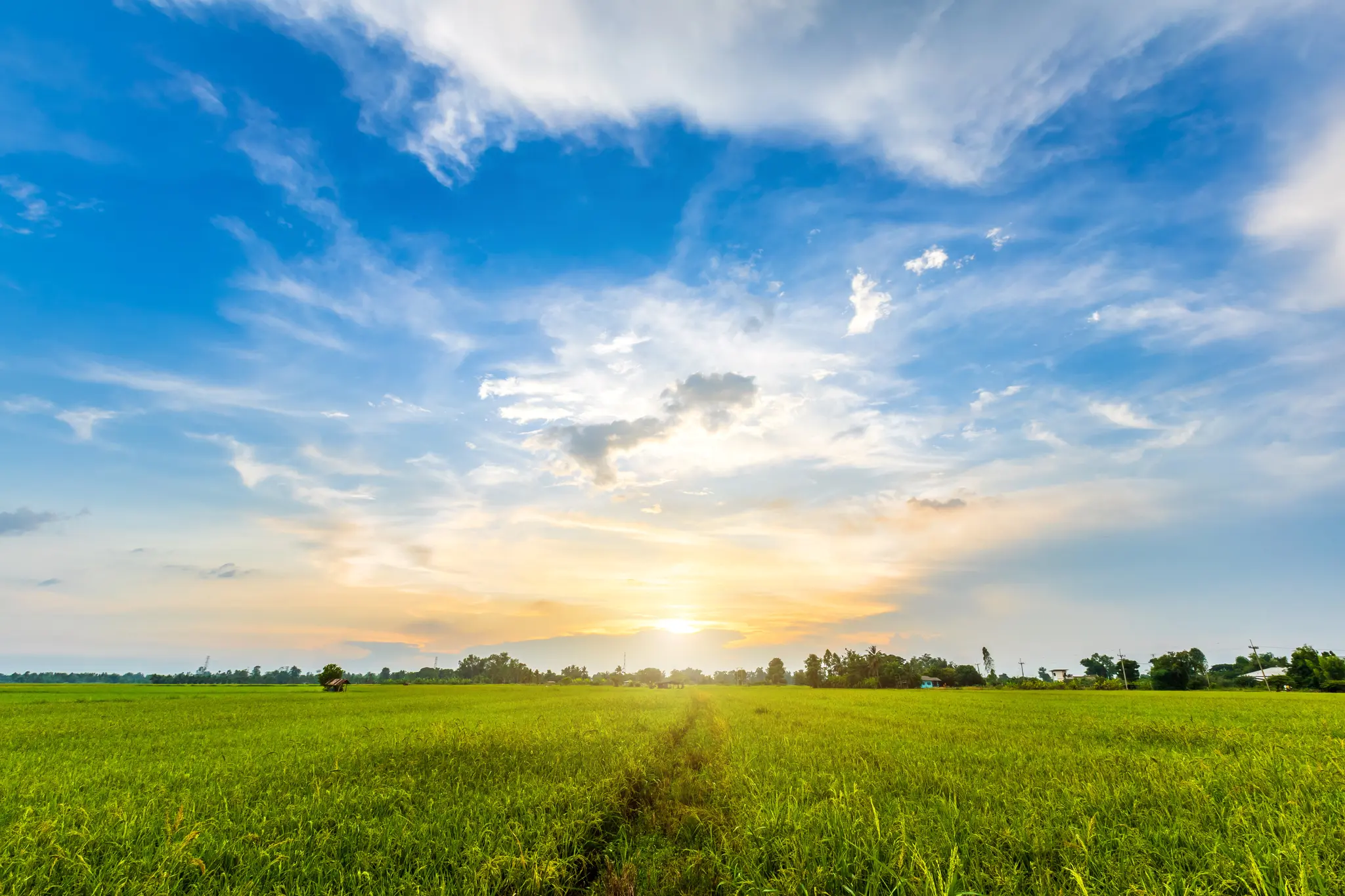 John-Deere-stellt-alternative-Antriebsstrategie-auf-der-Gr-nen-Woche-2026-vor