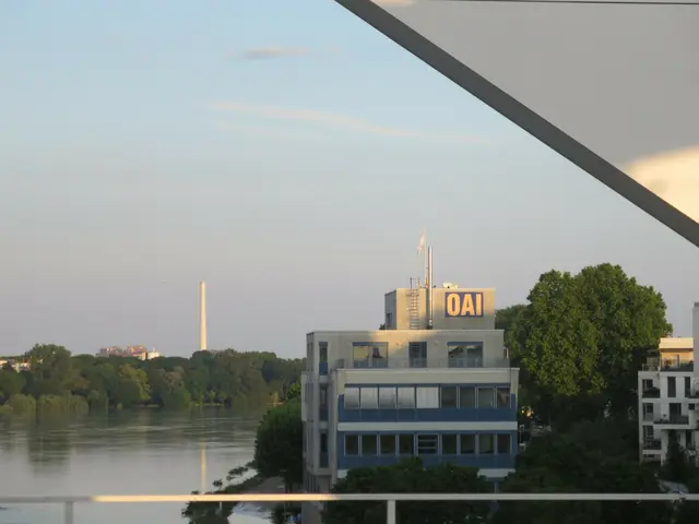 Im Juni 2024 stand unter dem auf Stelzen gebauten OAI das Wasser. 
 | Foto: Julia Glöckner