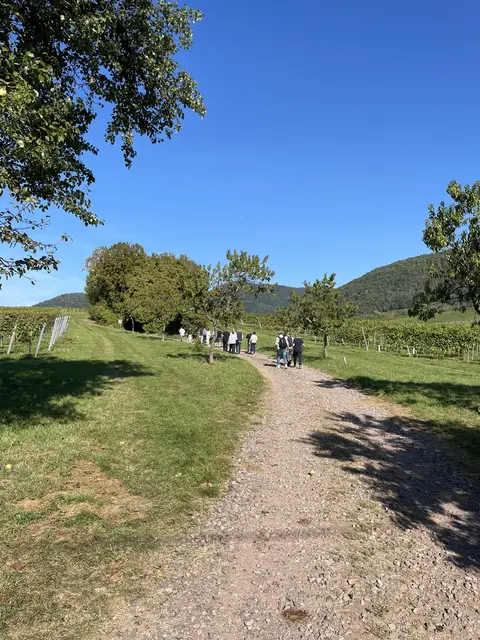 Foto: Wilhelmshof Siebeldingen