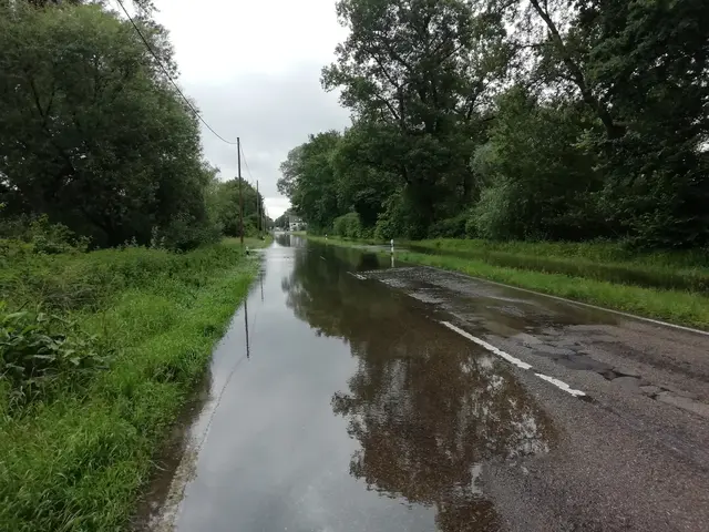 Die Retentionsräume am deutsch-französischen Grenzgebiet Rastatt hielten riesige Wassermassen im Juni 2024 zurück | Foto: Julia Glöckner
