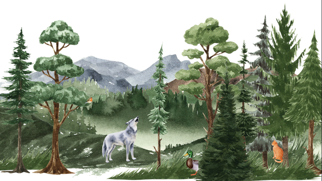 Peter und der Wolf | Foto: Canva