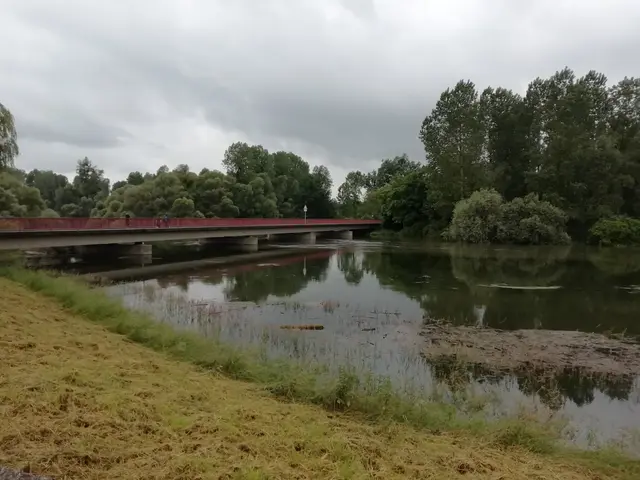 Retentionsräume (Rheinauen) bei Rastatt sind keine Polder, sondern sie sind immer offen. Bei Hochwasser füllen sie sich.  | Foto: Julia Glöckner