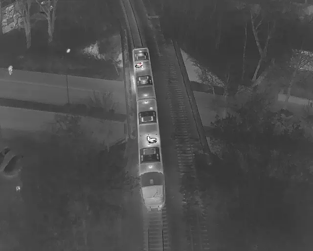 Auch Wärmebildkameras waren im Einsatz | Foto: Feuerwehr Kaiserslautern