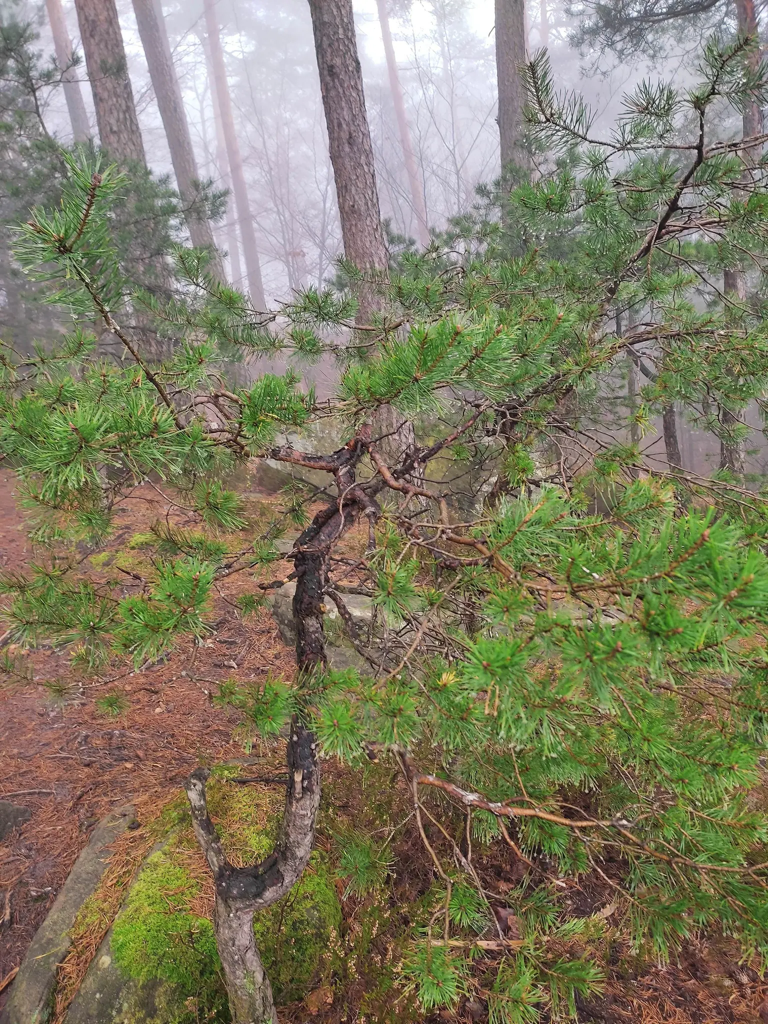 Wanderungen-im-Januar