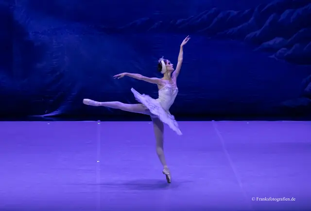 Foto: © Franksfotografien.de