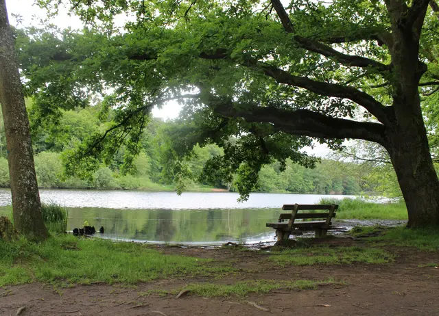 Gemeinsam aktiv bleiben: Die Gemeindeschwester Plus lädt Seniorinnen und Senioren zu regelmäßigen Spaziergängen rund um den Vogelwoog ein | Foto: Monika Klein