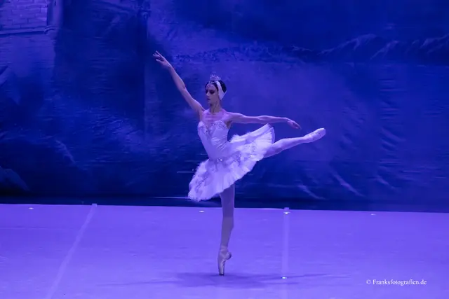 Foto: © Franksfotografien.de