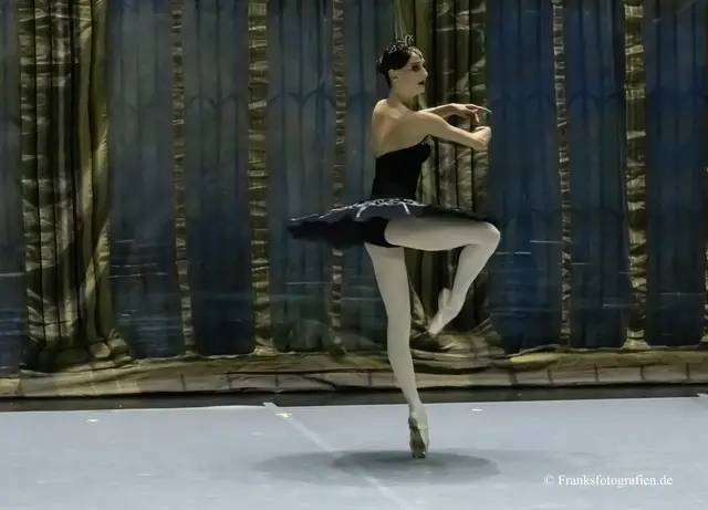 Foto: © Franksfotografien.de