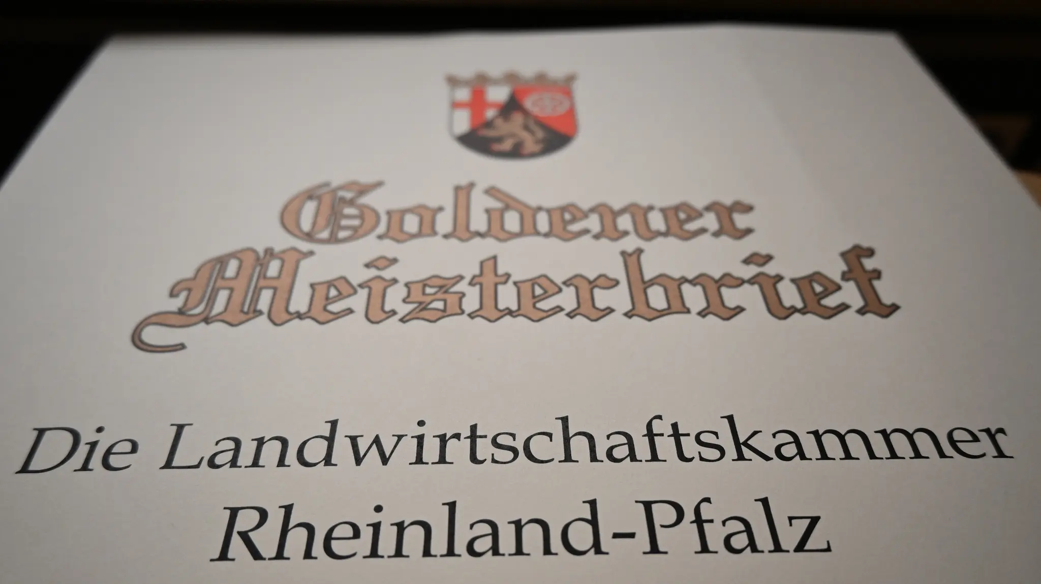 Landwirtschaftskammer-sucht-Meisterinnen-und-Meister-des-Jahres-1976