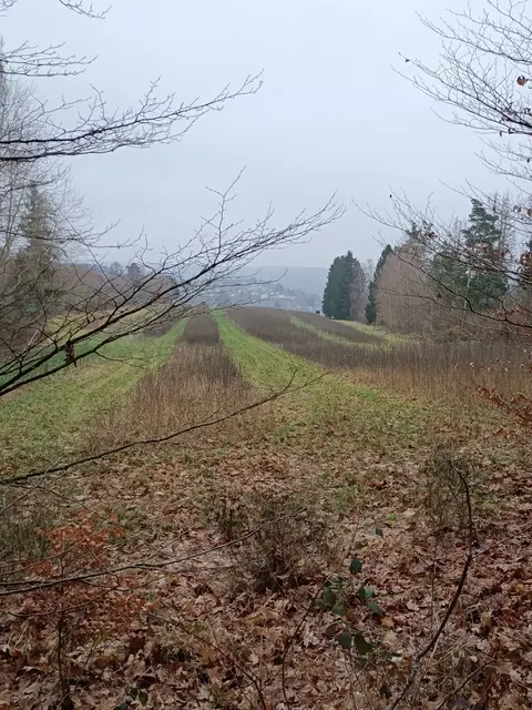 aussicht | Foto: ich