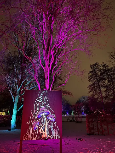 Winterlichter 2026 | Foto: Luisenpark Mannheim