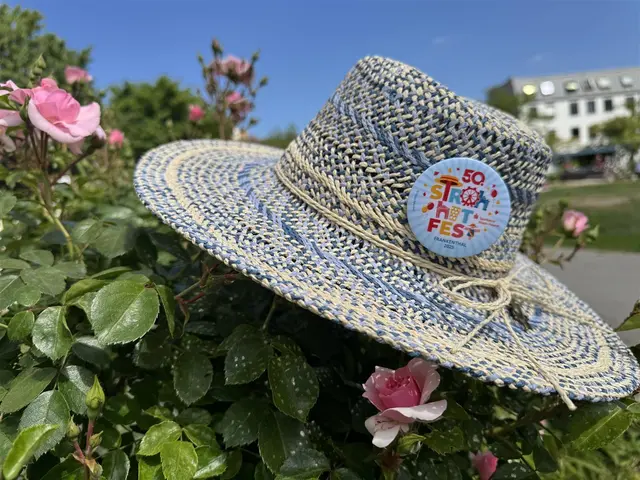 Das Foto zeigt das Buttonmotiv des 50. Strohhutfests im vergangenen Jahr. Das Motiv stammt von Heike Behrend.

 | Foto: Pressestelle FT