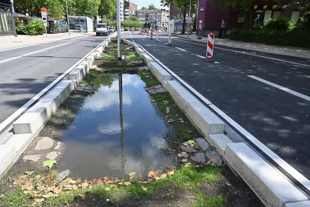 Mulden können auch künstlich angelegt sein. Die Mikroorganismen in der Bodenschicht der Mulde zersetzen Schadstoffe und selbst Mikroplastik aus Reifenabrieb. Mit dem natürlichen Filtern gelangt so möglichst wenig davon ins Grundwasser.  | Foto: Stadt Bochum