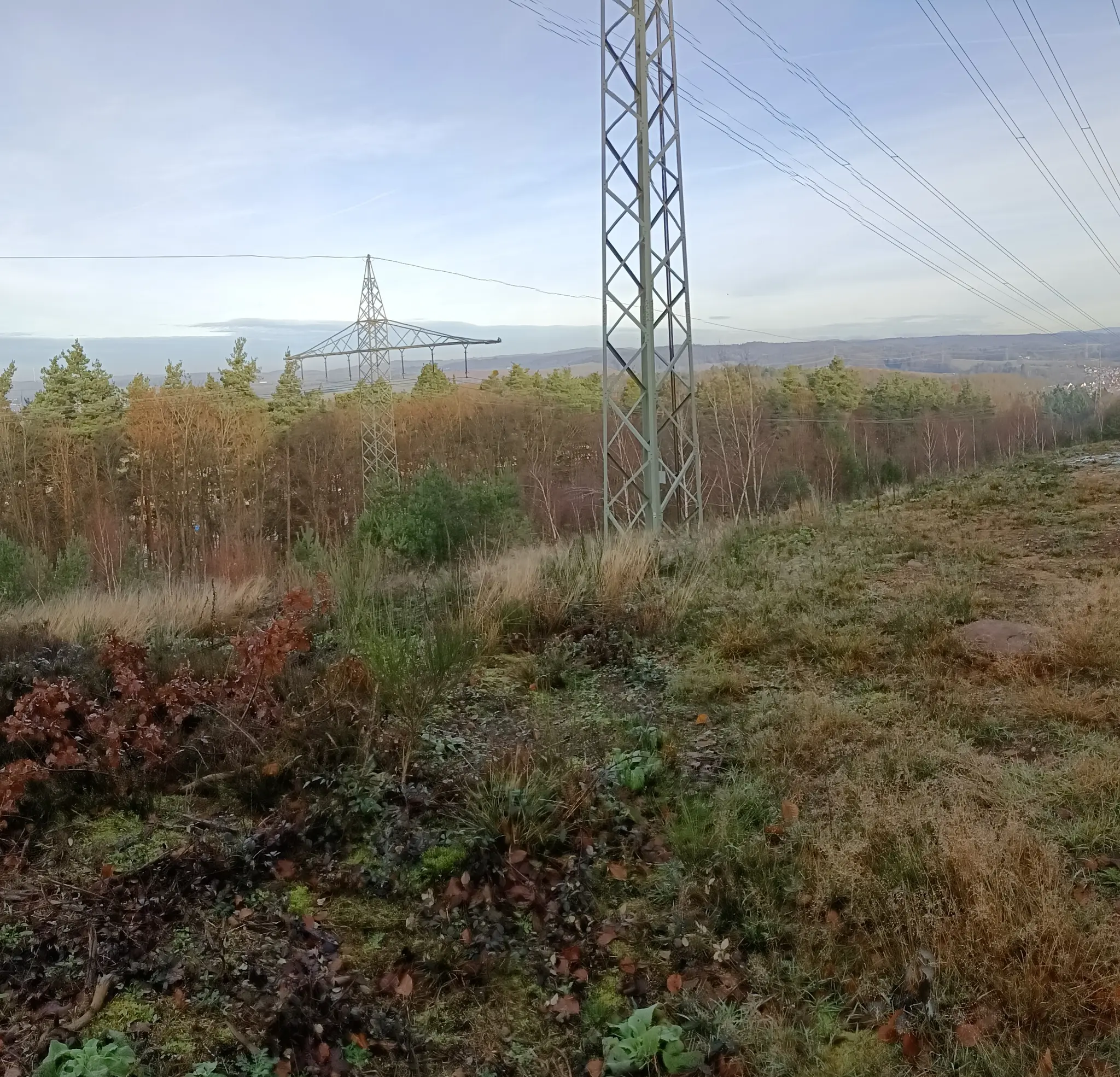 -ber-den-Drei-Berge-Blick-nach-Siegelbach