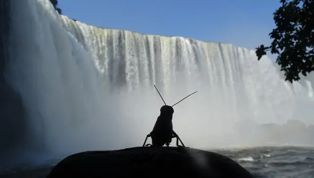 Foto: Carsten Möhle