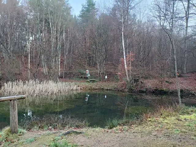 felsenweiher | Foto: ich