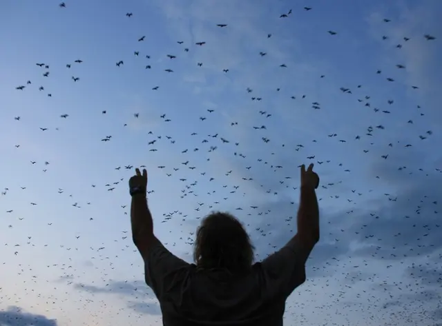 Foto: Carsten Möhle