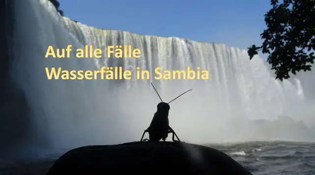 Foto: Carsten Möhle