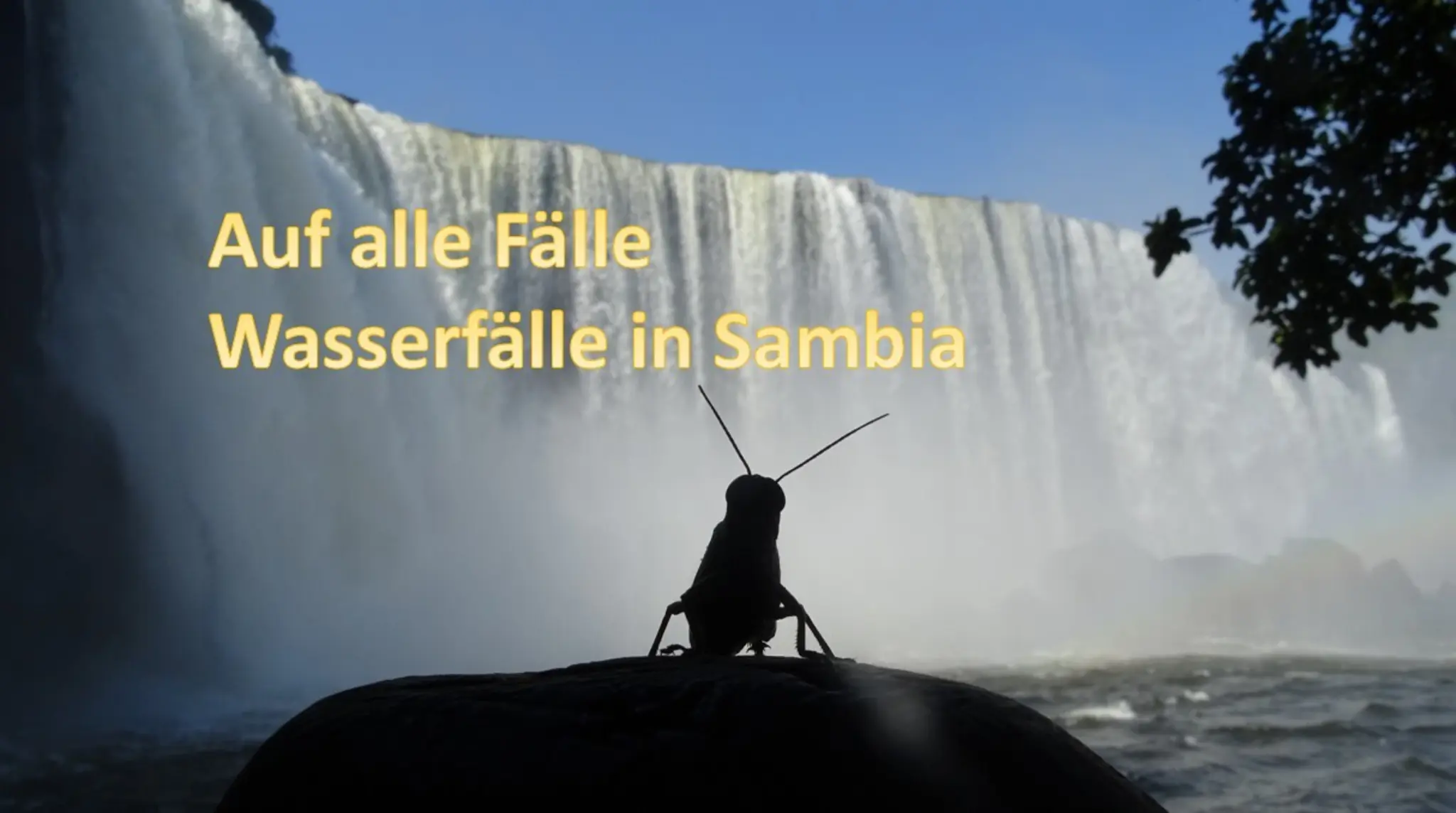 Auf-alle-F-lle-Ein-Vortrag-ber-die-Wasserf-lle-Sambias-Von-und-mit-Carsten-M-hle