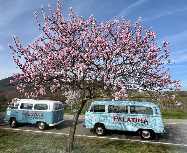 Foto: Palatina Events