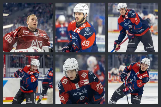 Die Olympioniken der Adler, von oben links nach unten rechts: Maximilian Franzreb, Lukas Kälble, Leon Gawanke, Marc Michaelis, Alexander Ehl und Justin Schütz | Foto: Herrmann Agenturfotografie