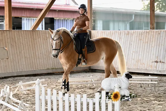 Der Reitclub Speyer lädt am Samstag zum Turnier | Foto: Reitclub Speyer