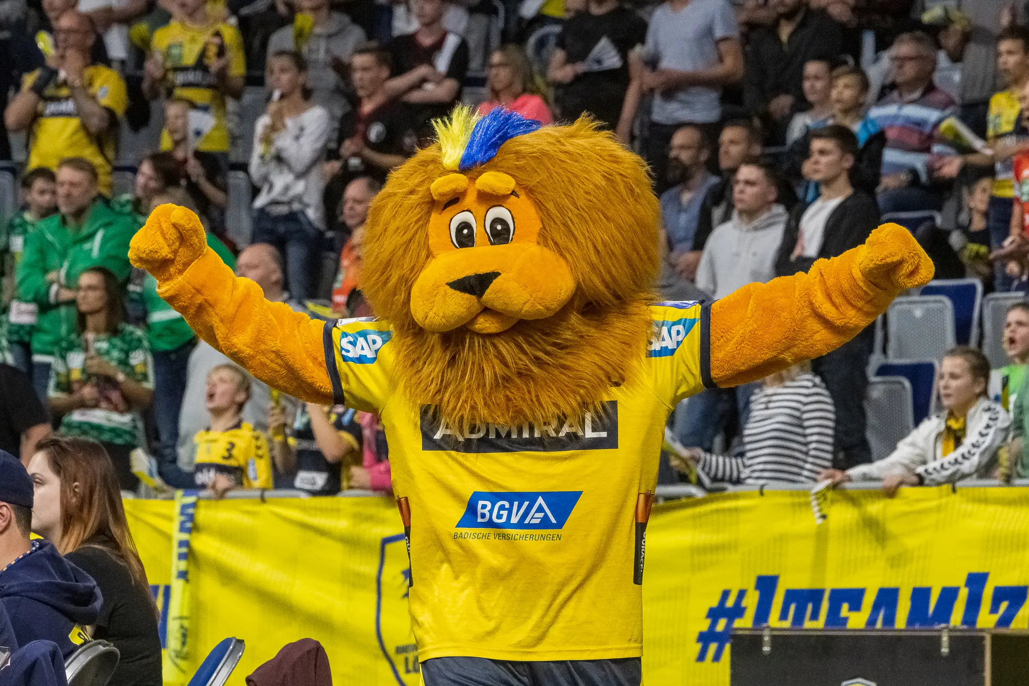 Gewinnspiel: Unforgettable Moment beim Heimspiel der Rhein-Neckar Löwen ...