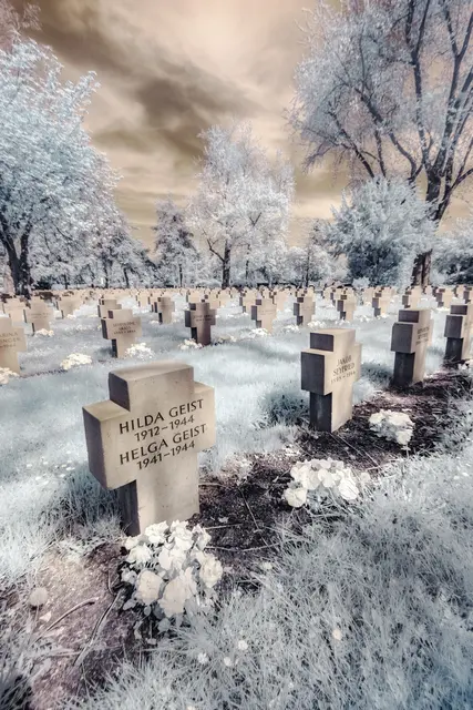 Hauptfriedhof Karlsruhe | Foto: Diana Tischler