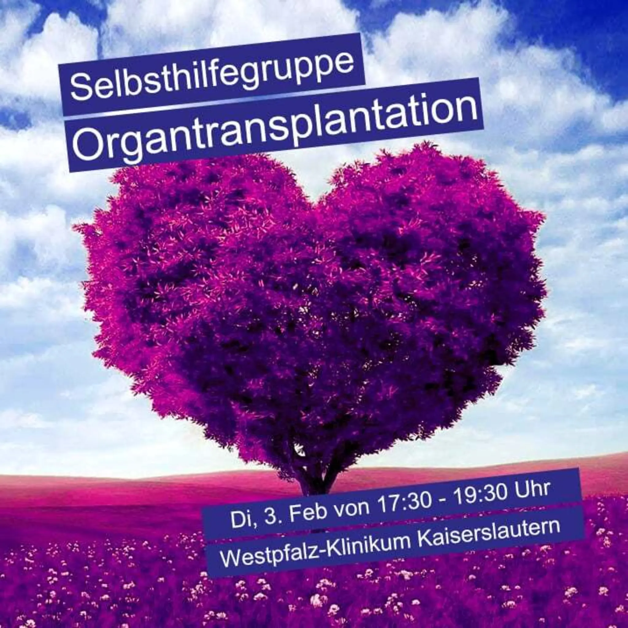 N-chstes-Selbsthilfegruppentreffen-f-r-Organtransplantierte-und-deren-Angeh-rige-am-3-Februar-2026