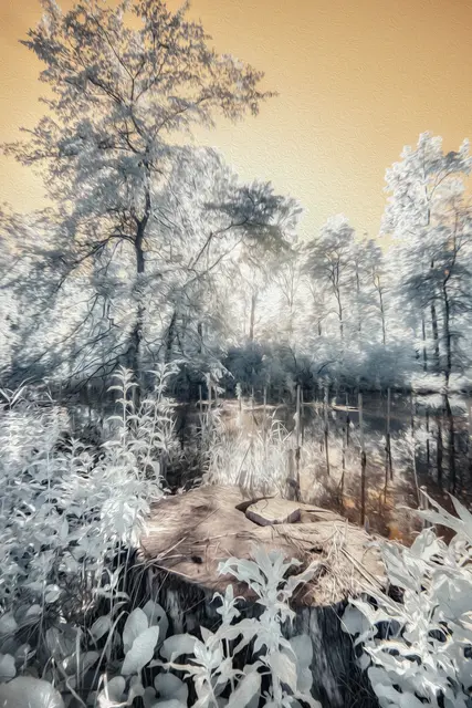 Am "kleinen Bodensee" in Eggenstein | Foto: Diana Tischler