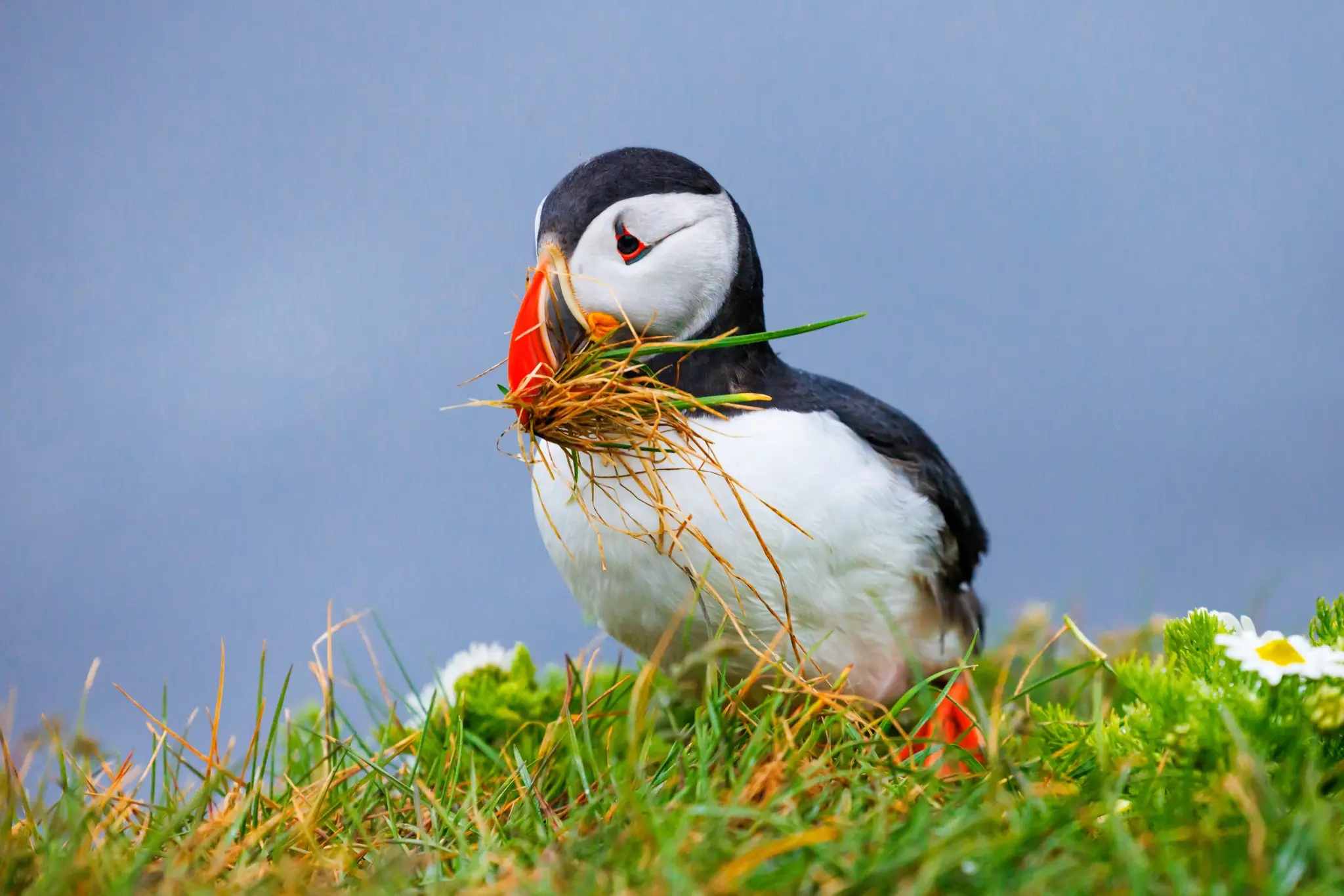 Reise-durch-Feuer-und-Eis-Live-Multivisionsshow-im-GDA-Wohnstift