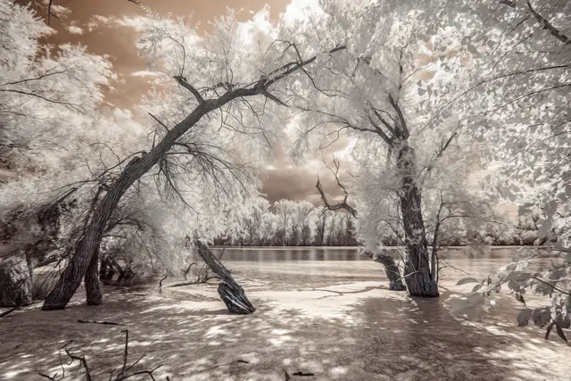 Am "kleinen Bodensee" in Eggenstein | Foto: Diana Tischler