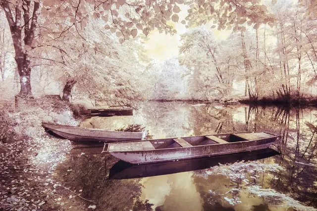 Altrhein bei Daxlanden | Foto: Diana Tischler