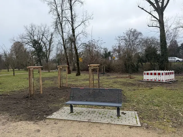 Ostpark -Baumpflanzungen. | Foto: Pressestelle Frankenthal