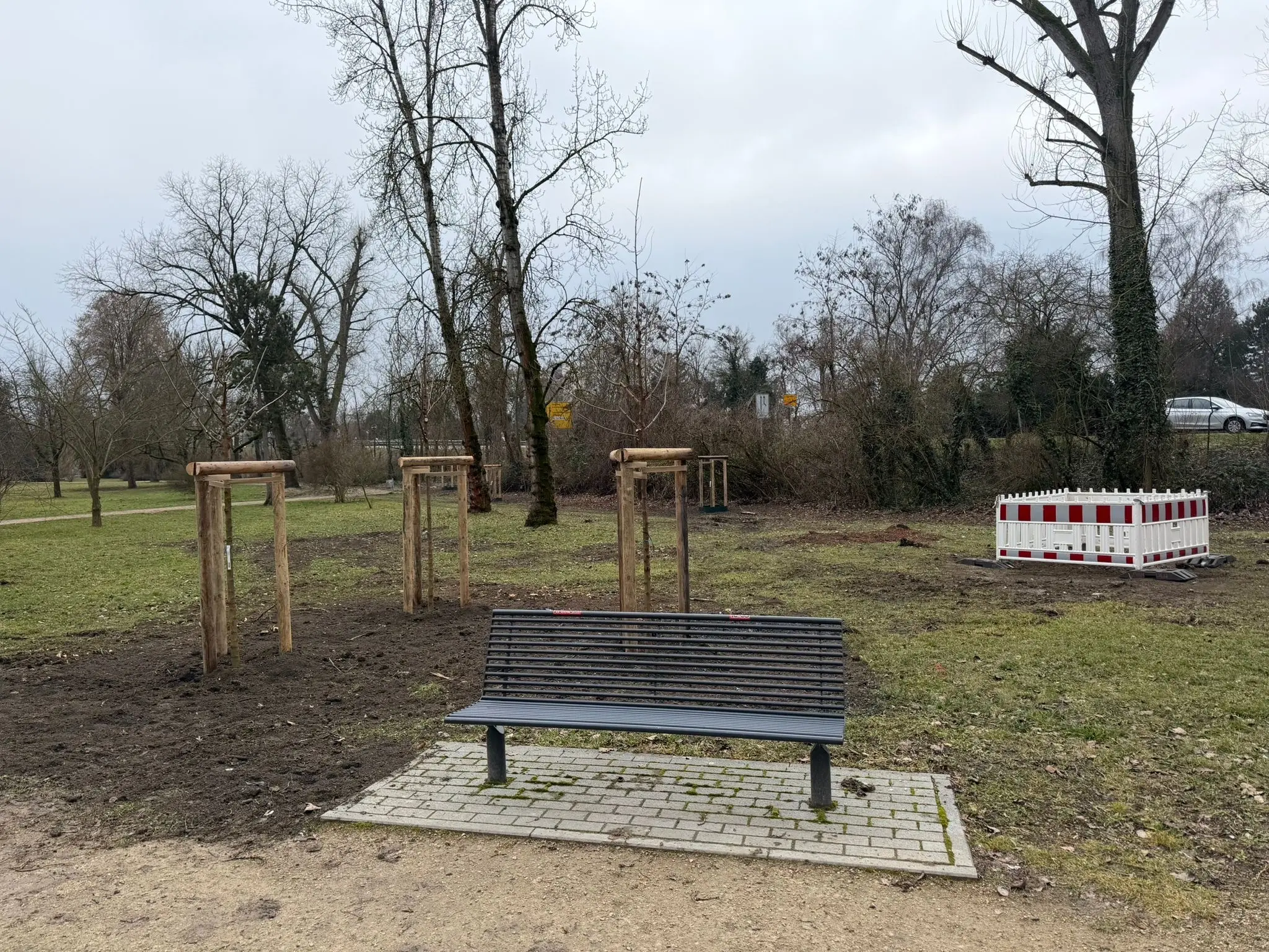 Baumpflanzungen-im-Ostpark-haben-begonnen-64-neue-klimaresiliente-B-ume