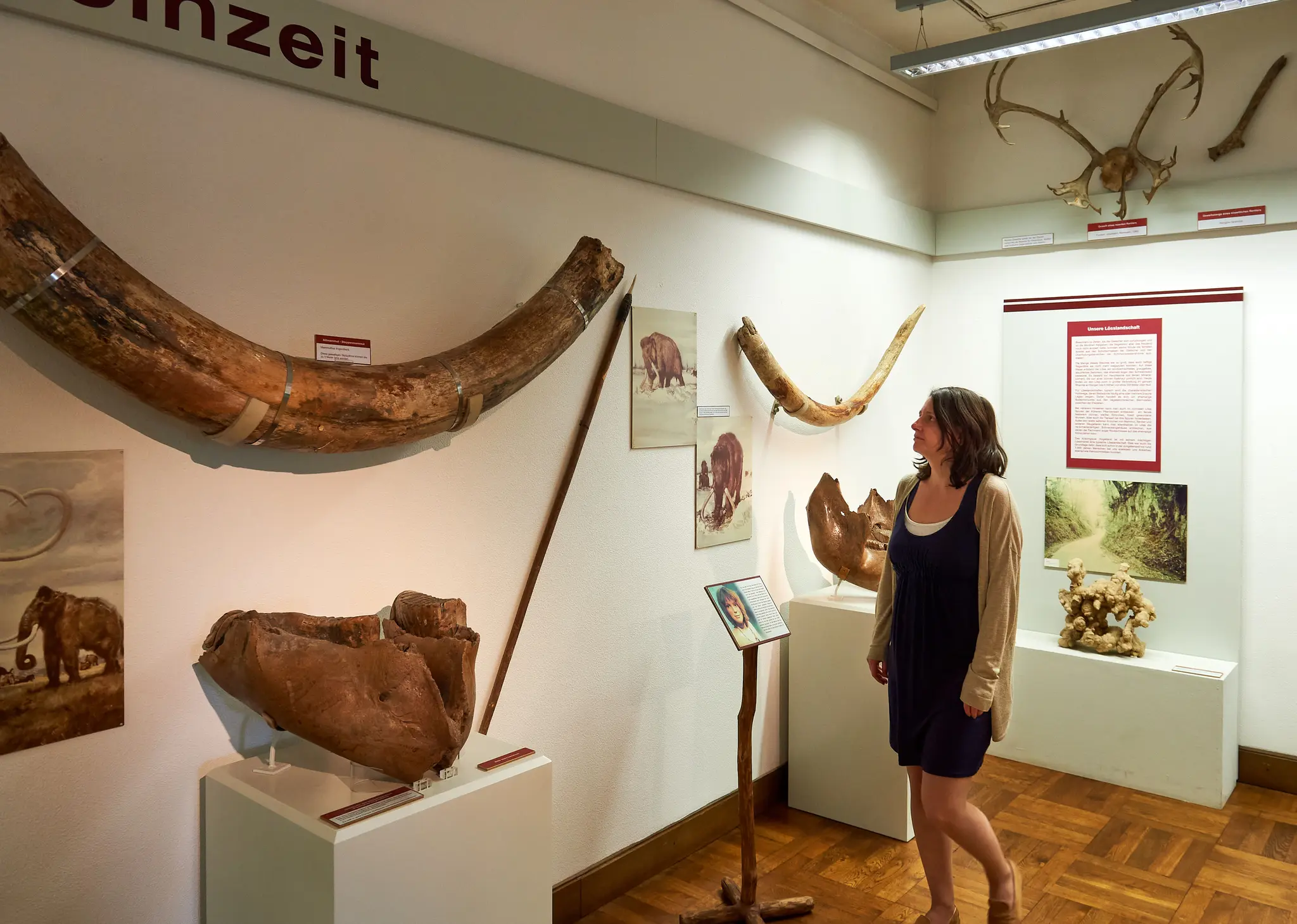 -ffentliche-F-hrungen-durch-das-St-dtische-Museum-Bruchsal