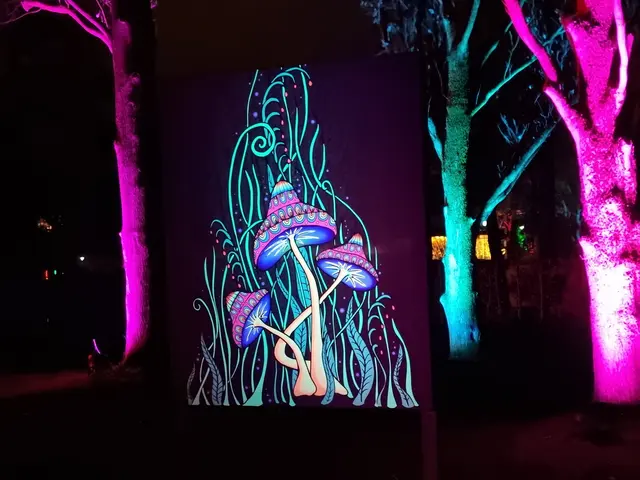 Hunderte Scheinwerfer schaffen eine märchenhafte Atmosphäre im Luisenpark Mannheim - so kommen die wunderschönen Bilder gut zur Geltung. | Foto: BAS