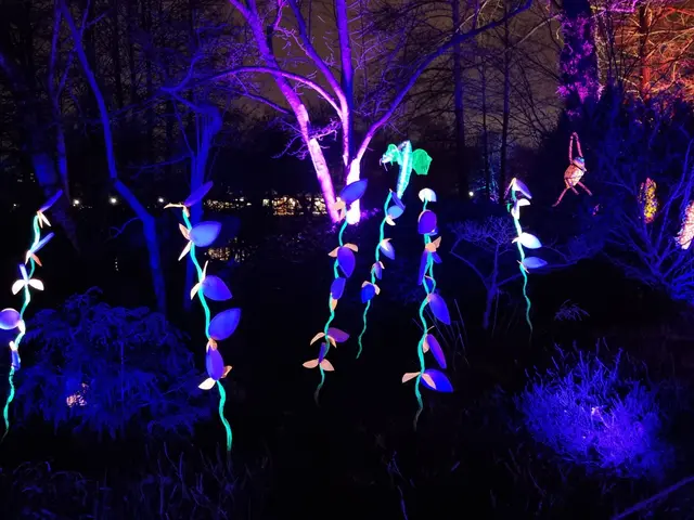 Leuchtende, bunte Ranken. | Foto: BAS