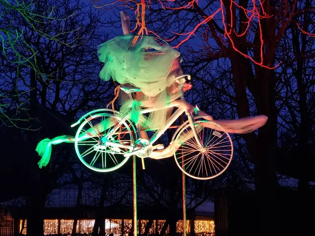 Beleuchtetes Fahrrad-Kunstobjekt in den Bäumen. | Foto: BAS