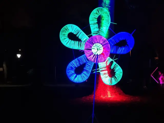 Bunte Blumen im Park - mitten im Winter. | Foto: BAS