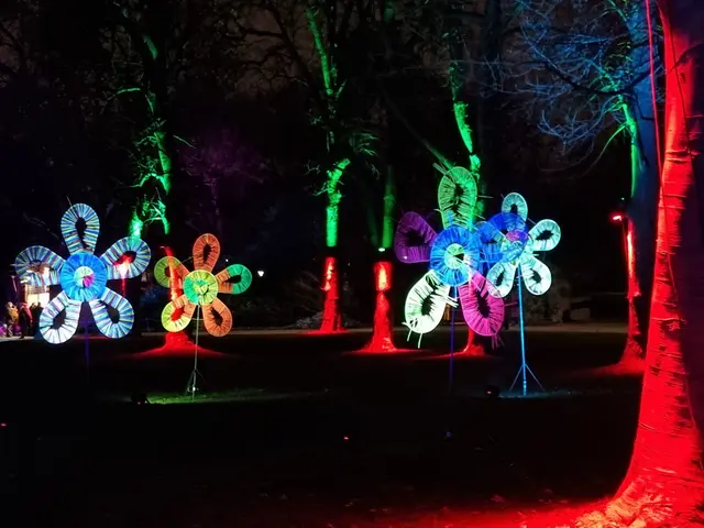 Eine leuchtende Blumenwiese. | Foto: BAS