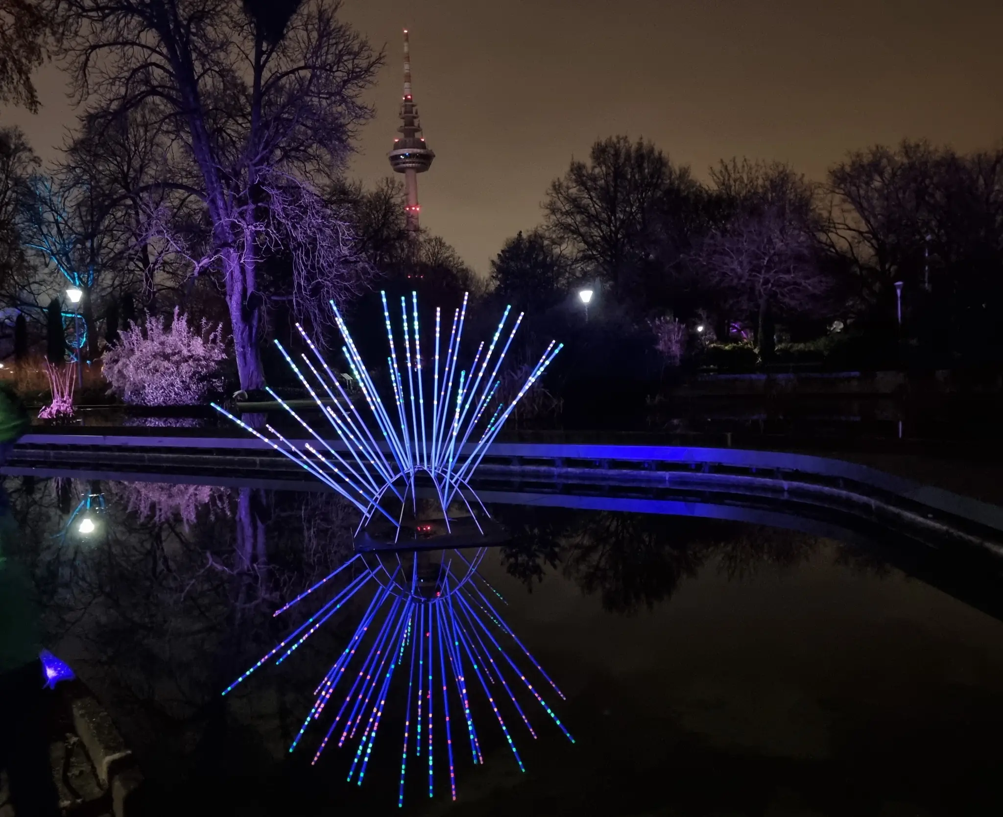 Luisenpark-Mannheim-So-sch-n-sind-die-Winterlichter-2026-Bildergalerie-