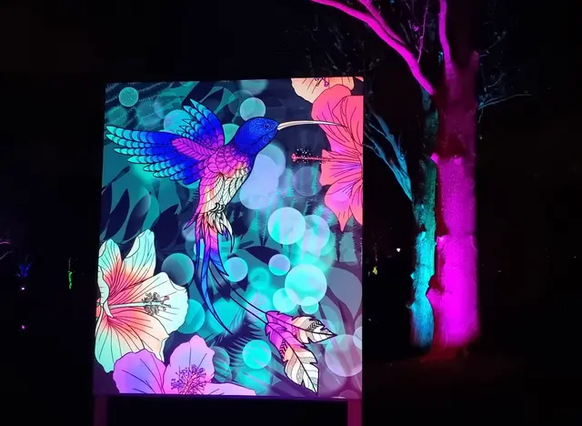 Hübscher Kolibri im Luisenpark Mannheim.  | Foto: BAS