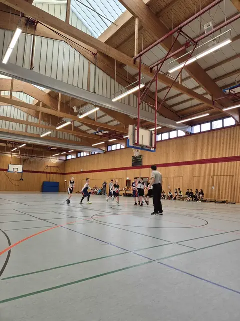 Foto: Gorillas Haßloch