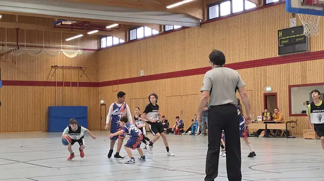 Foto: Gorillas Haßloch