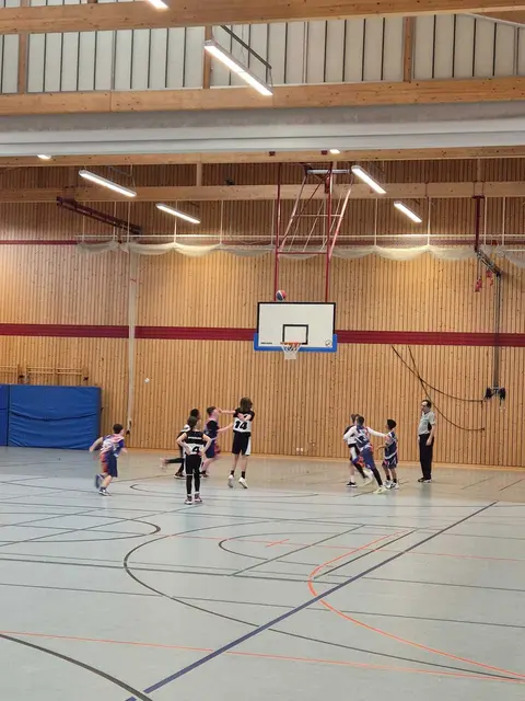 Foto: Gorillas Haßloch