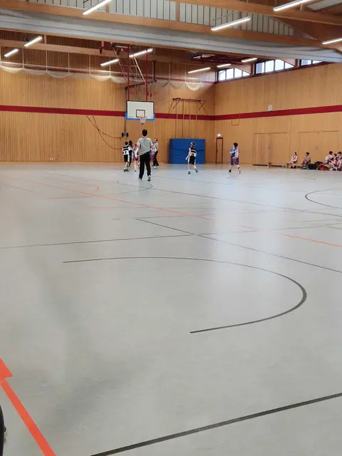 Foto: Gorillas Haßloch