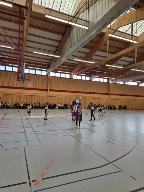 Foto: Gorillas Haßloch