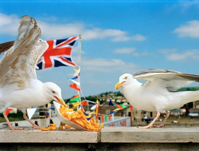 Von Albrecht Dürer bis hin zu Martin Parr präsentiert das Kunstmuseum Karlsruhe vielfältige Werke rund um Grafik und Fotografie. | Foto: Kunstmuseum_West Bay, England, 1996. © Martin Parr Magnum Photos