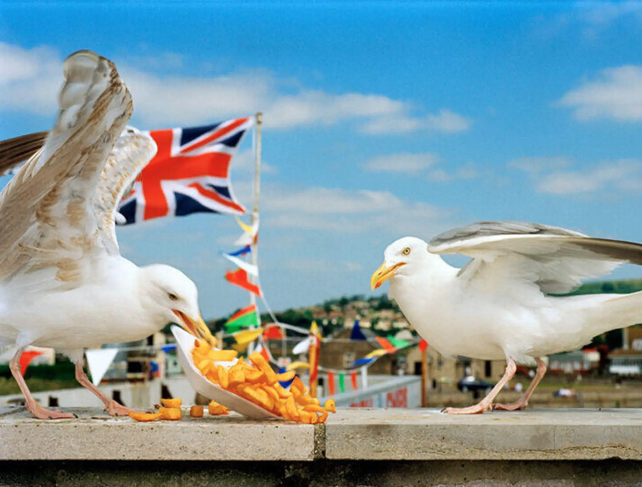 Ein-Februar-voll-Kunst-Klang-und-berraschungen